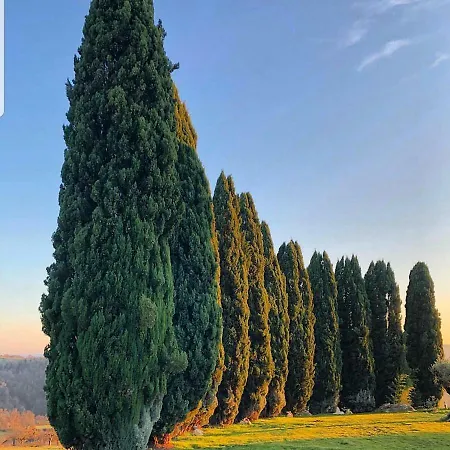 Feriegård I Segreti Del Borgo Penna in Teverina